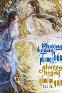 Phượng Hoàng Phương Nam & Phượng Hoàng Phương Bắc Phượng Hoàng Phương Nam & Phượng Hoàng Phương Bắc