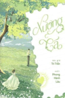 Xương Cá Xương Cá
