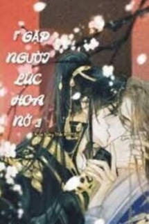 Gặp Người Lúc Hoa Nở Gặp Người Lúc Hoa Nở