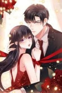 Tổng Tài Lạc Mất Vợ Yêu Tổng Tài Lạc Mất Vợ Yêu