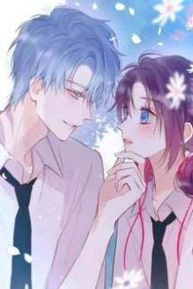 Lưỡi Dao Dịu Dàng Lưỡi Dao Dịu Dàng