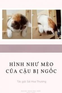 Hình Như Mèo Của Cậu Bị Ngốc Hình Như Mèo Của Cậu Bị Ngốc