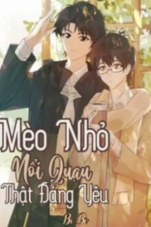 Mèo Nhỏ Nổi Quạu Thật Đáng Yêu Mèo Nhỏ Nổi Quạu Thật Đáng Yêu