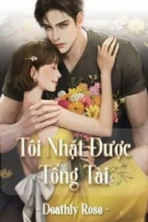 Tôi Nhặt Được Tổng Tài Tôi Nhặt Được Tổng Tài