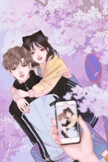 Đào Mềm Đào Mềm