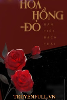 Hoa Hồng Đỏ Hoa Hồng Đỏ